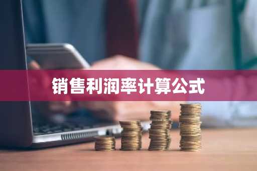 销售利润率计算公式
