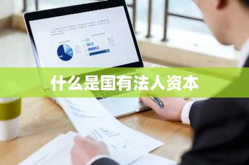 什么是国有法人资本