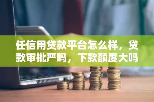 任信用贷款平台怎么样，贷款审批严吗，下款额度大吗？