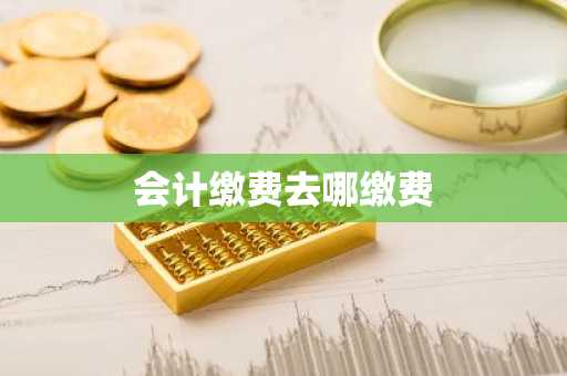 会计缴费去哪缴费