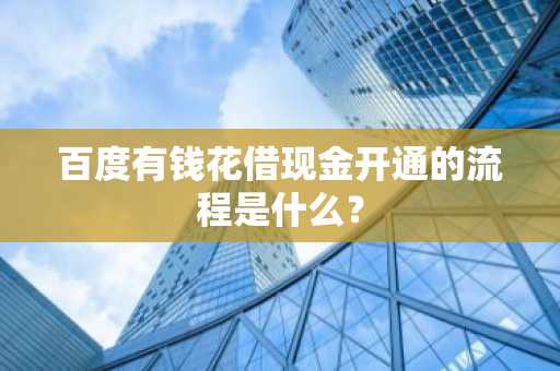 百度有钱花借现金开通的流程是什么？