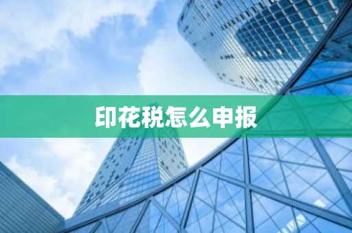 印花税怎么申报