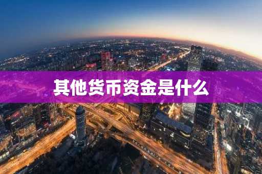 其他货币资金是什么