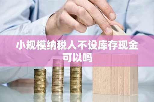 小规模纳税人不设库存现金可以吗
