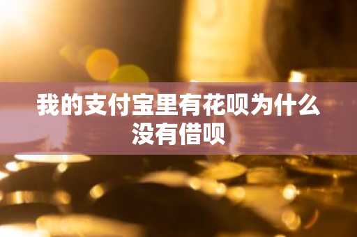 我的支付宝里有花呗为什么没有借呗