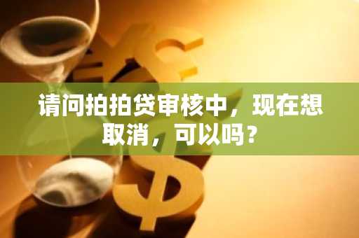请问拍拍贷审核中，现在想取消，可以吗？