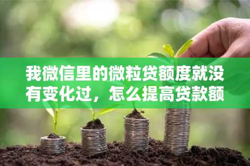 我微信里的微粒贷额度就没有变化过，怎么提高贷款额度？