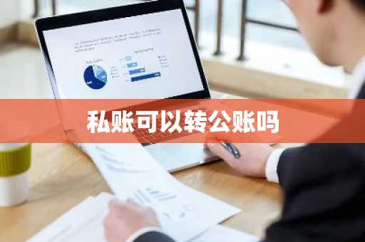 私账可以转公账吗