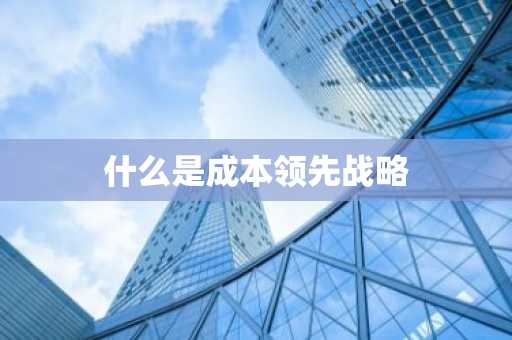 什么是成本领先战略