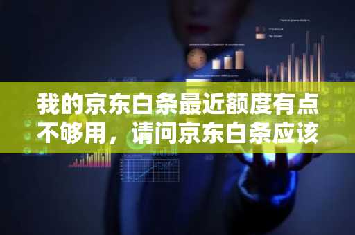 我的京东白条最近额度有点不够用，请问京东白条应该在哪提额呢？