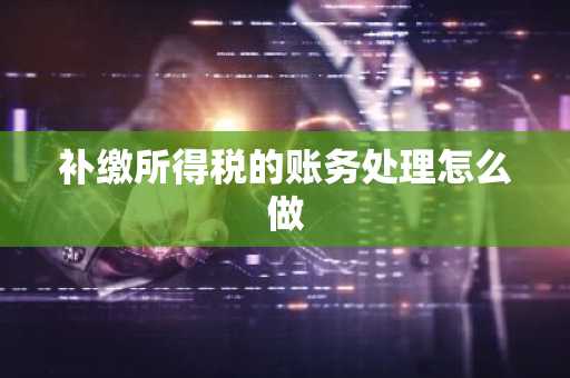 补缴所得税的账务处理怎么做