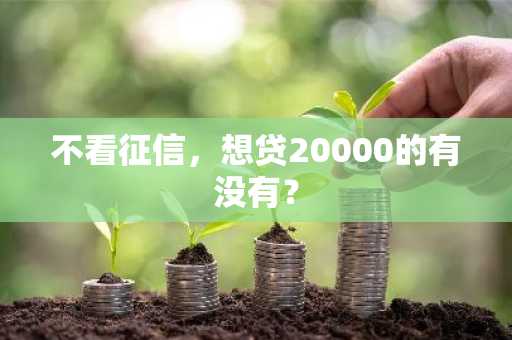 不看征信，想贷20000的有没有？