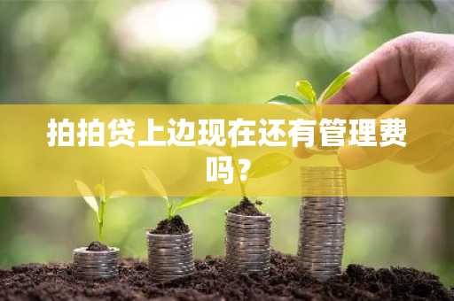 拍拍贷上边现在还有管理费吗？