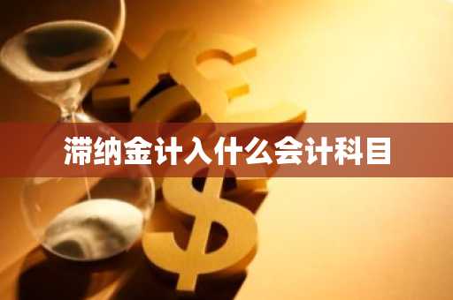 滞纳金计入什么会计科目