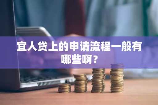 宜人贷上的申请流程一般有哪些啊？