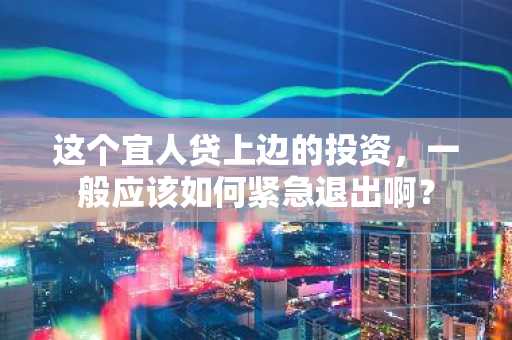 这个宜人贷上边的投资，一般应该如何紧急退出啊？