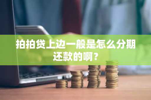 拍拍贷上边一般是怎么分期还款的啊？