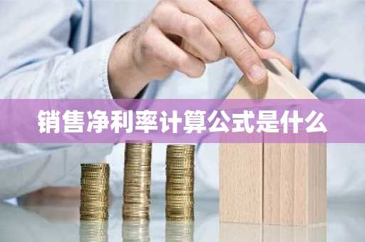销售净利率计算公式是什么