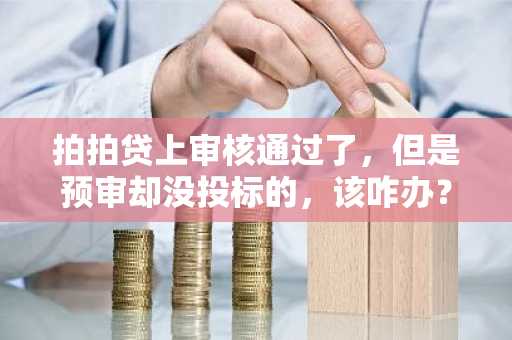 拍拍贷上审核通过了，但是预审却没投标的，该咋办？