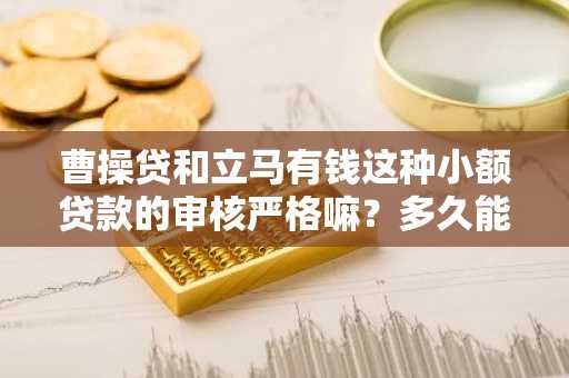 曹操贷和立马有钱这种小额贷款的审核严格嘛？多久能够下款啊？