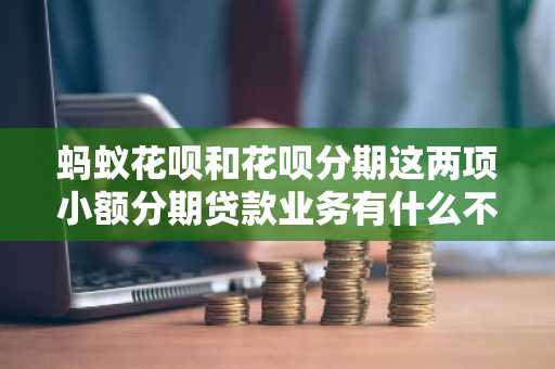 蚂蚁花呗和花呗分期这两项小额分期贷款业务有什么不同啊？
