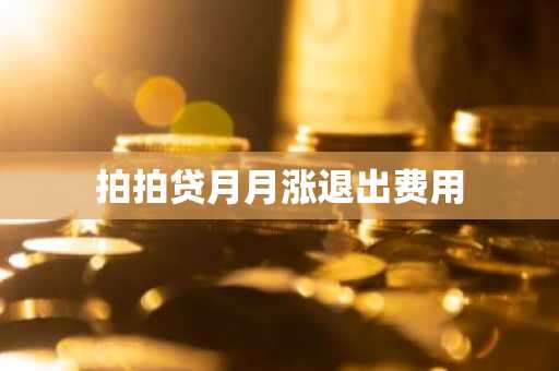 拍拍贷月月涨退出费用