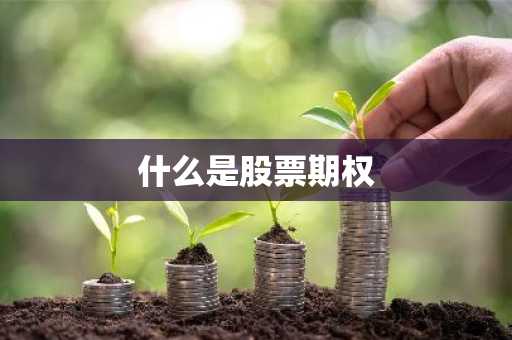 什么是股票期权