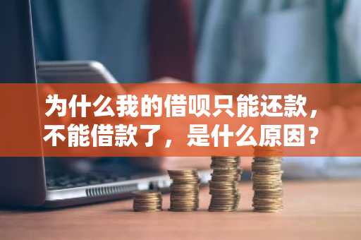 为什么我的借呗只能还款，不能借款了，是什么原因？