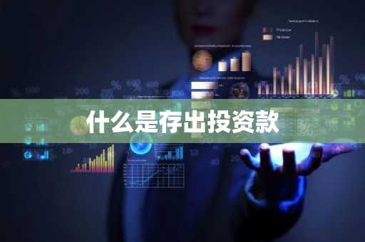 什么是存出投资款