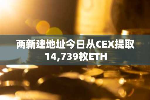 两新建地址今日从CEX提取14,739枚ETH