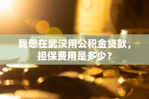 我想在武汉用公积金贷款，担保费用是多少？
