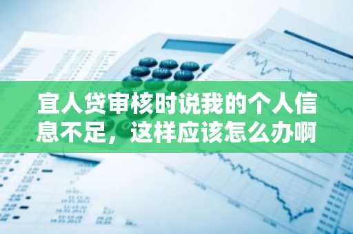 宜人贷审核时说我的个人信息不足，这样应该怎么办啊？