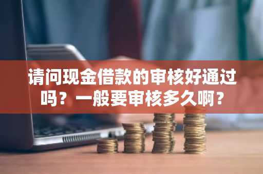 请问现金借款的审核好通过吗？一般要审核多久啊？