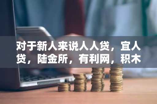 对于新人来说人人贷，宜人贷，陆金所，有利网，积木盒子，红岭创投选择哪个比较好呢？