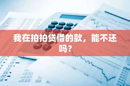 我在拍拍贷借的款，能不还吗？