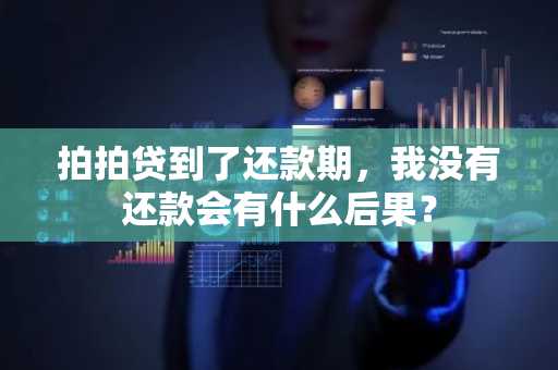 拍拍贷到了还款期，我没有还款会有什么后果？