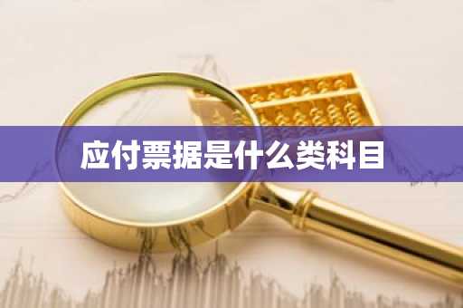 应付票据是什么类科目