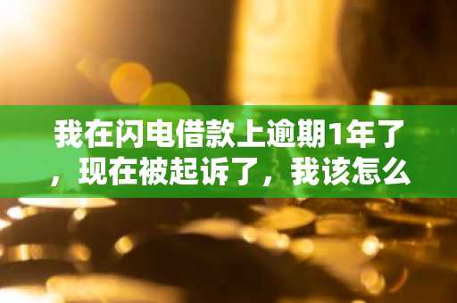 我在闪电借款上逾期1年了，现在被起诉了，我该怎么办啊？