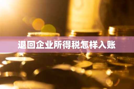 退回企业所得税怎样入账