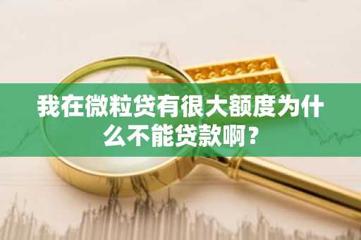 我在微粒贷有很大额度为什么不能贷款啊？