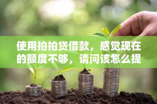 使用拍拍贷借款，感觉现在的额度不够，请问该怎么提升额度呢？