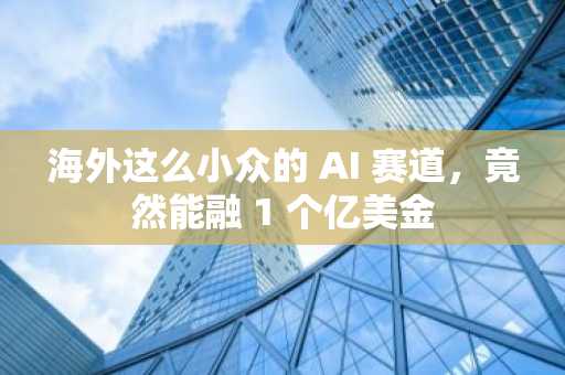 海外这么小众的 AI 赛道，竟然能融 1 个亿美金