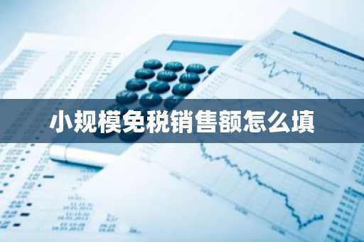 小规模免税销售额怎么填