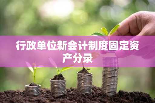 行政单位新会计制度固定资产分录