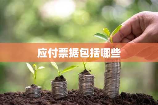应付票据包括哪些