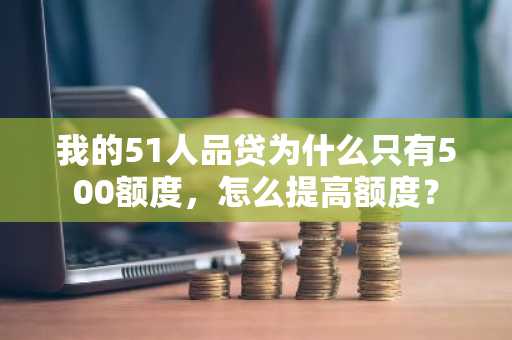 我的51人品贷为什么只有500额度，怎么提高额度？