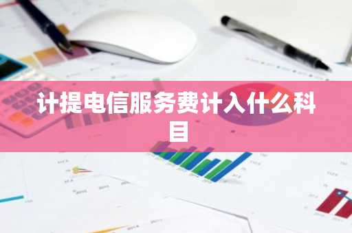 计提电信服务费计入什么科目