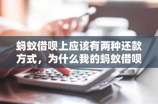 蚂蚁借呗上应该有两种还款方式，为什么我的蚂蚁借呗只有等额本金，没有先息后本？