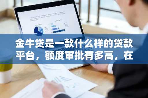 金牛贷是一款什么样的贷款平台，额度审批有多高，在上面贷款的条件有哪些啊？