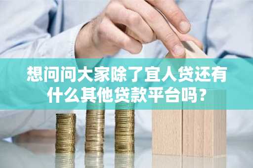 想问问大家除了宜人贷还有什么其他贷款平台吗？